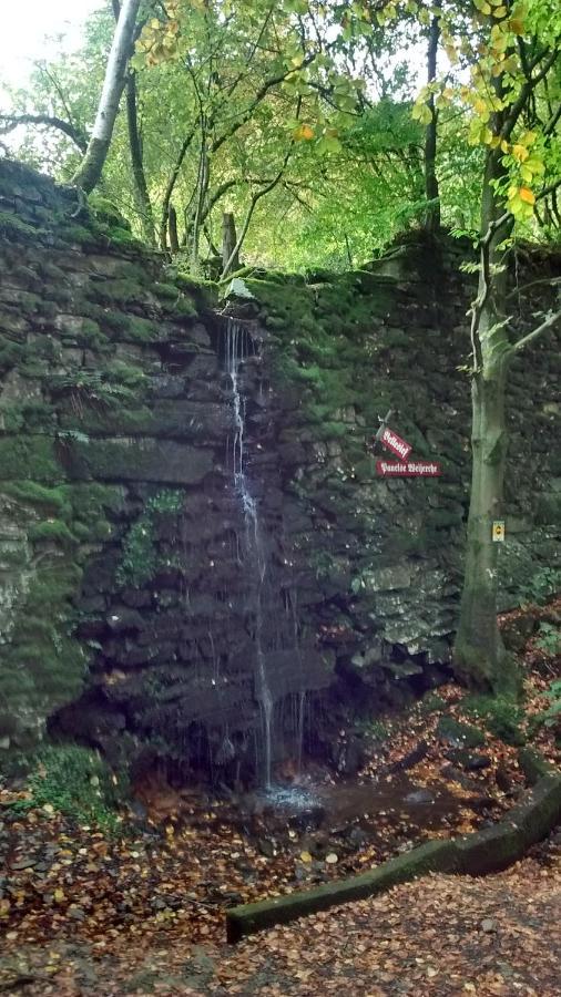 Hallerblick Monschau Esterno foto